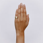 Amyclides Signet Ring - Solid Gold