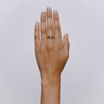 Glafkos Ring - Solid Gold
