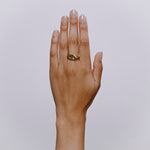 Quirinius Ring - Solid Gold