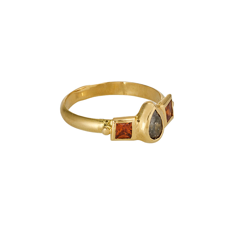 Gnomon Ring in Salt and Pepper Diamond and Garnet - Solid Gold