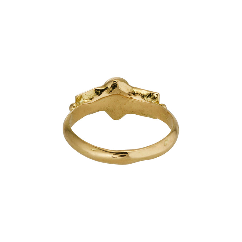 Gnomon Ring in Salt and Pepper Diamond and Garnet - Solid Gold