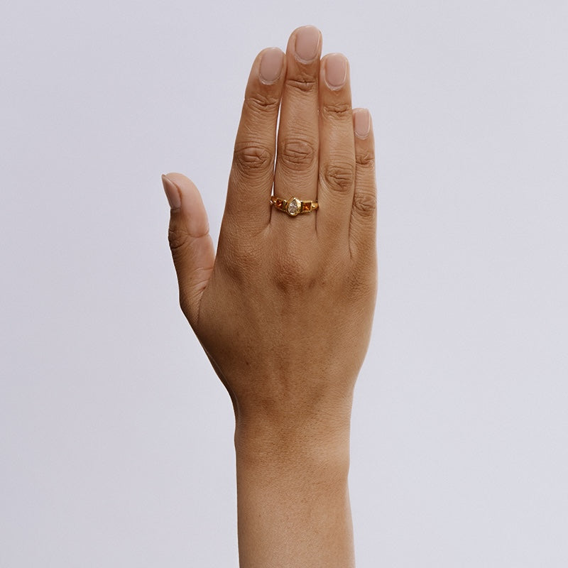 Gnomon Ring in Salt and Pepper Diamond and Garnet - Solid Gold